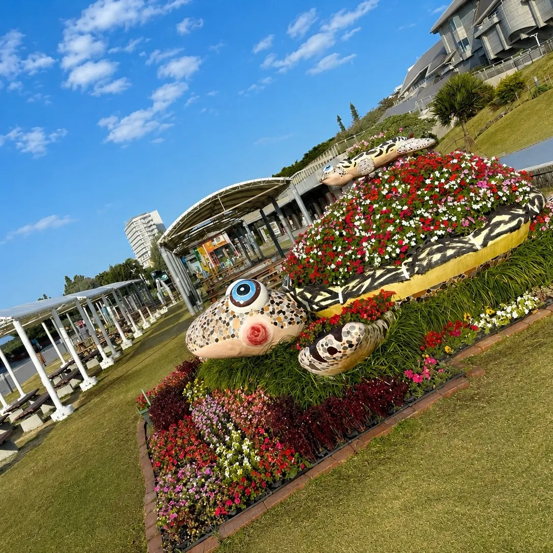 🌴⭐︎タートルレンタカーがおすすめする沖縄観光スポット⭐︎🌴