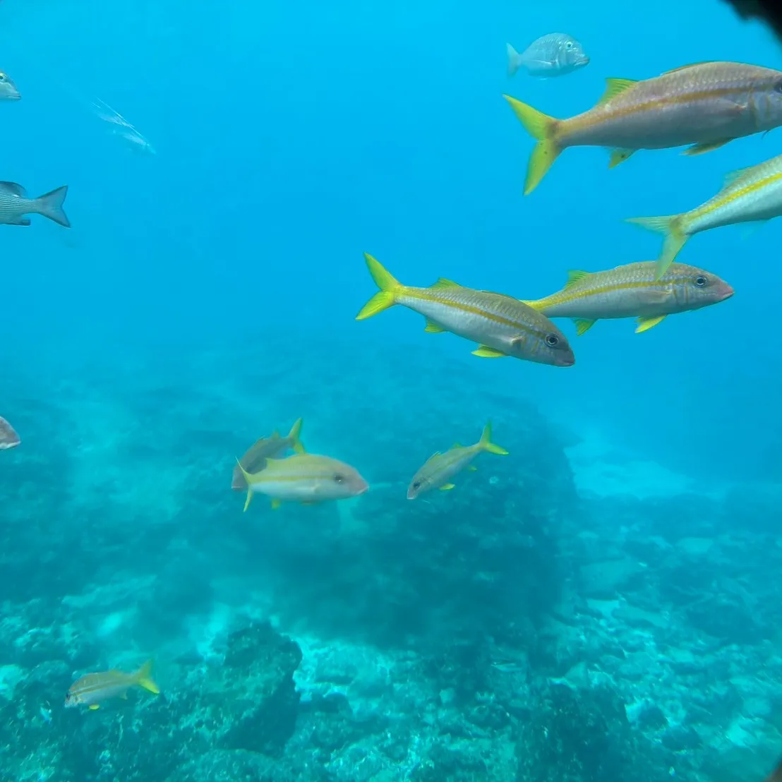 🌴⭐︎タートルレンタカーがおすすめする沖縄オススメスポット⭐...