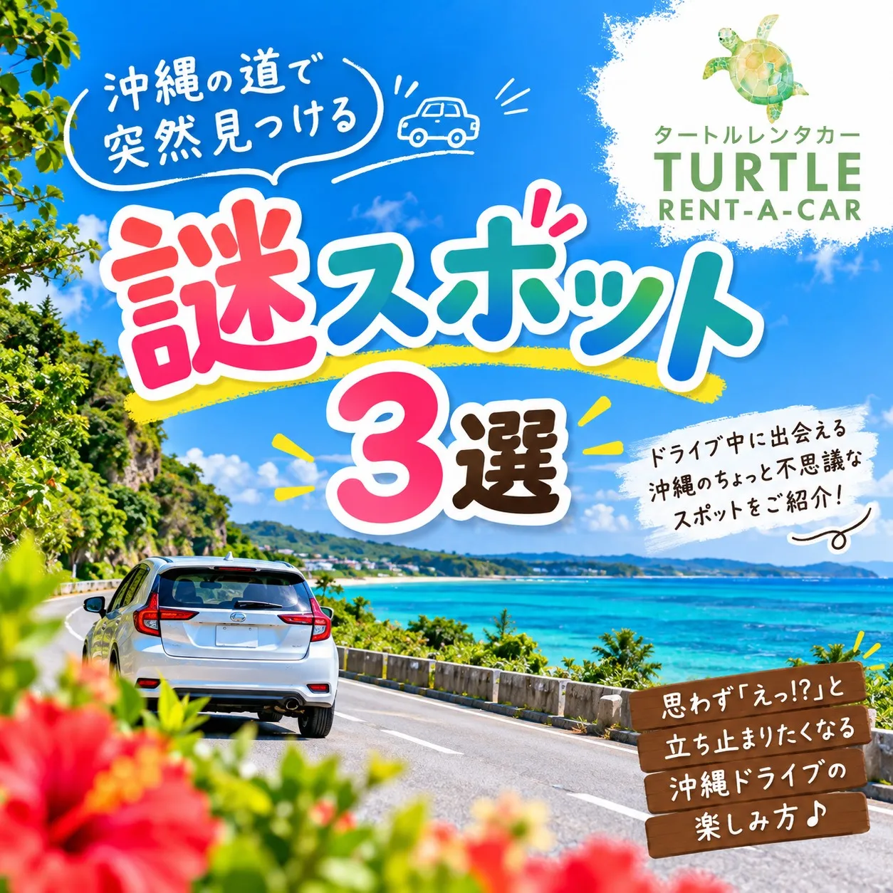 🌴⭐︎タートルレンタカーが教える! 沖縄の道で突然見つける「...