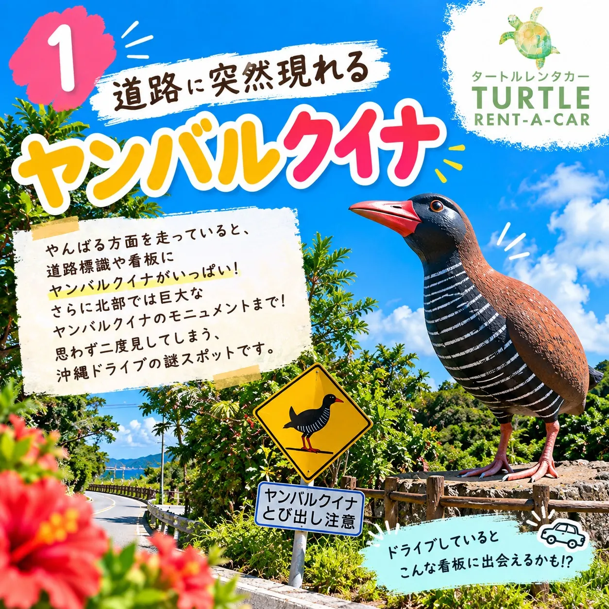 🌴⭐︎タートルレンタカーが教える! 沖縄の道で突然見つける「...