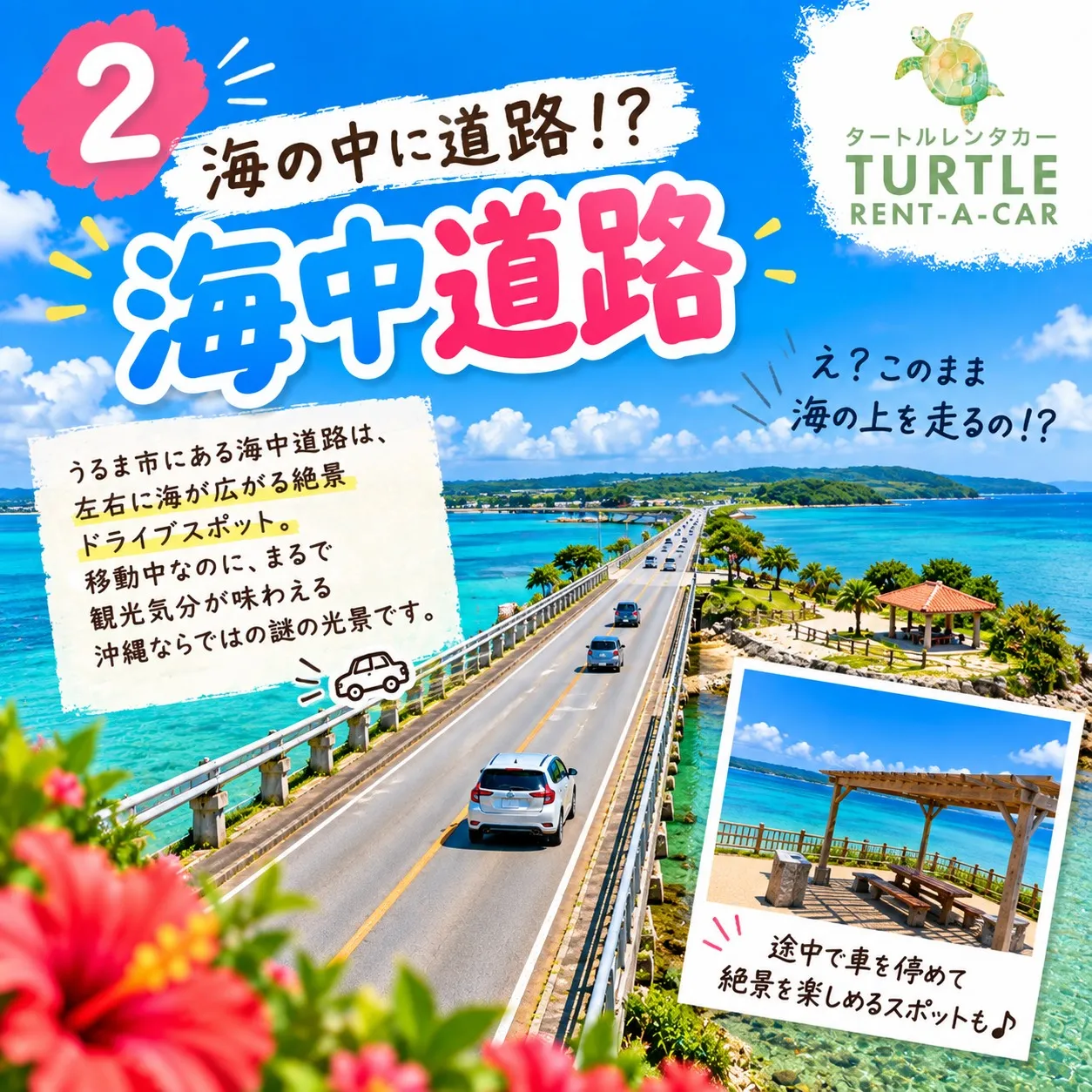 🌴⭐︎タートルレンタカーが教える! 沖縄の道で突然見つける「...