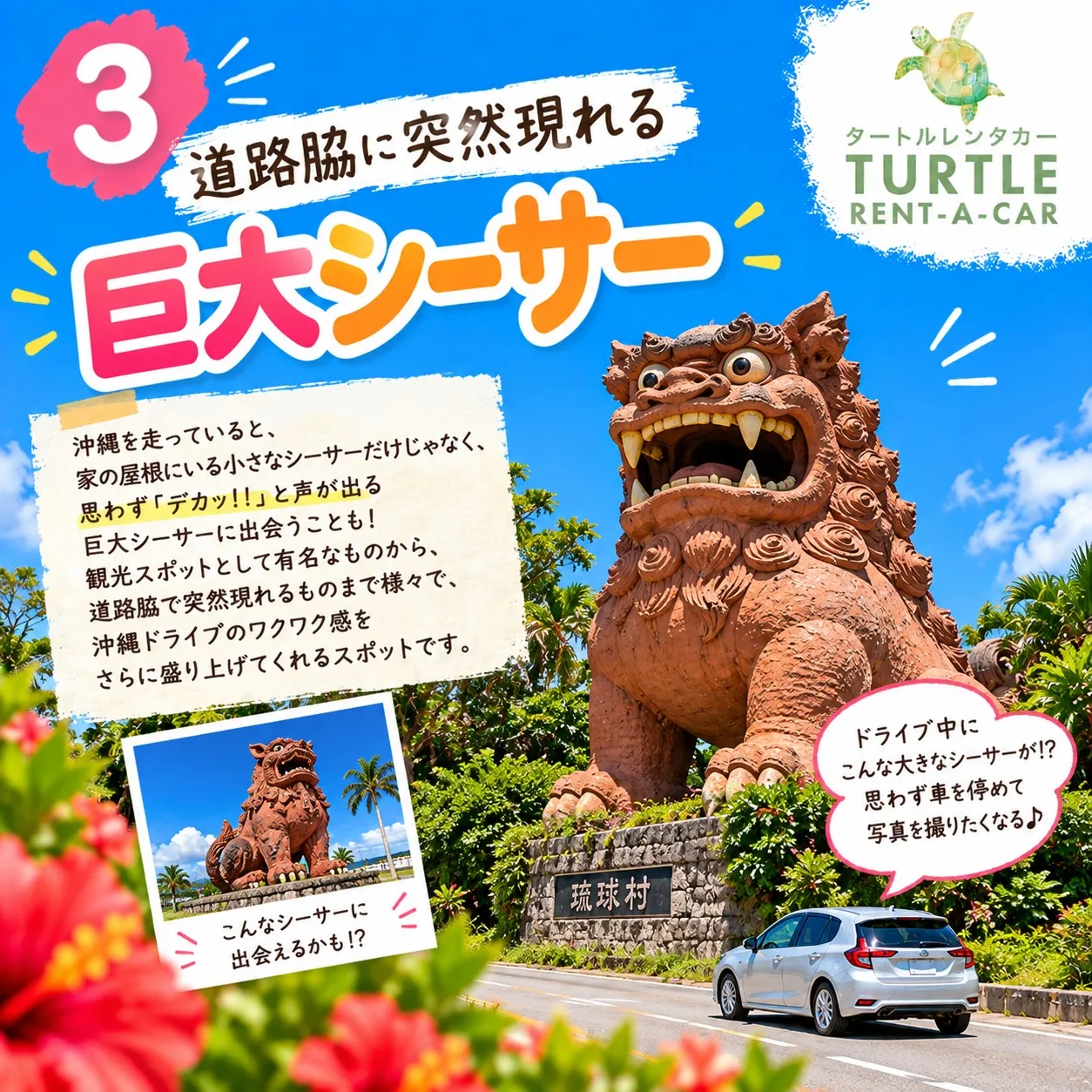 🌴⭐︎タートルレンタカーが教える! 沖縄の道で突然見つける「...