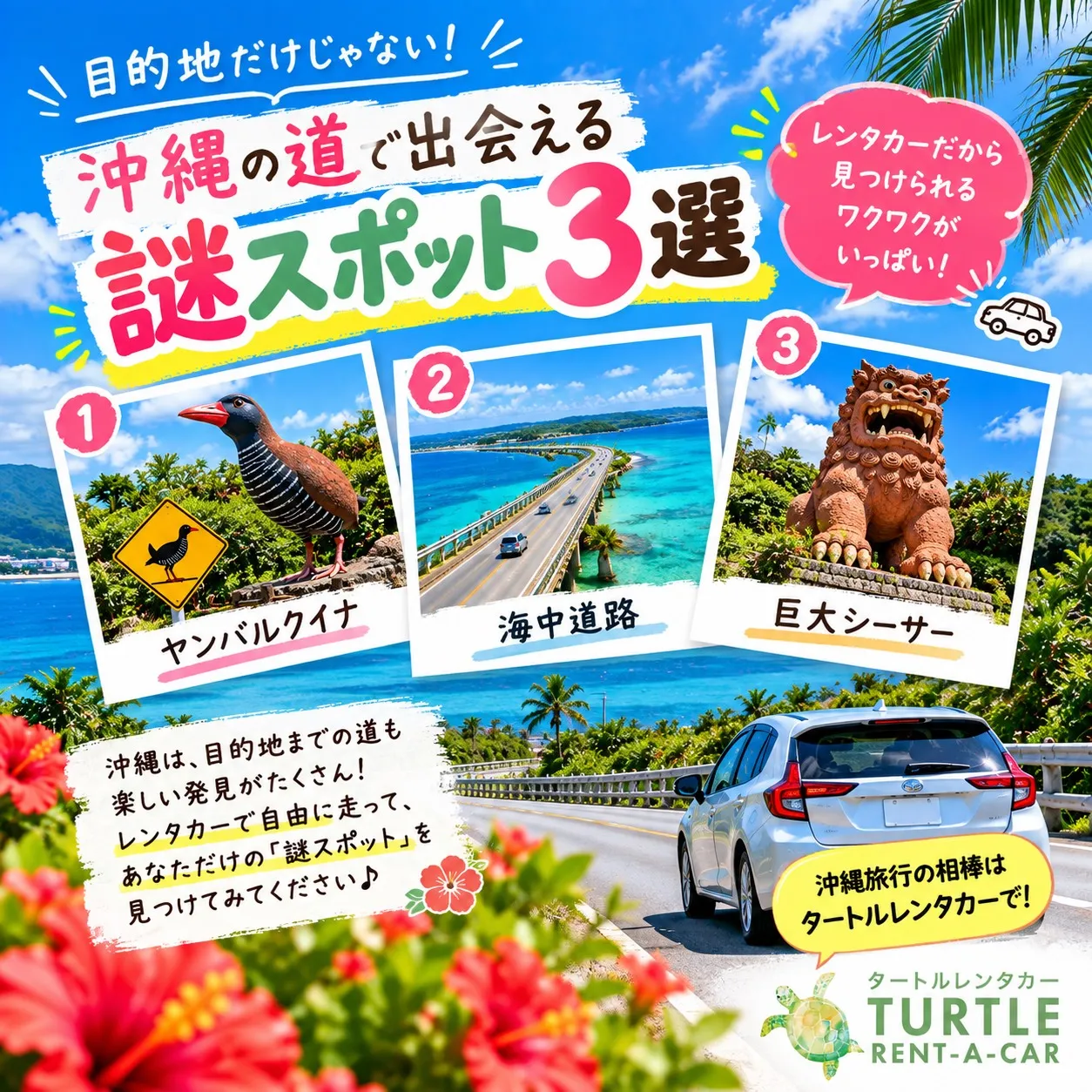 🌴⭐︎タートルレンタカーが教える! 沖縄の道で突然見つける「...