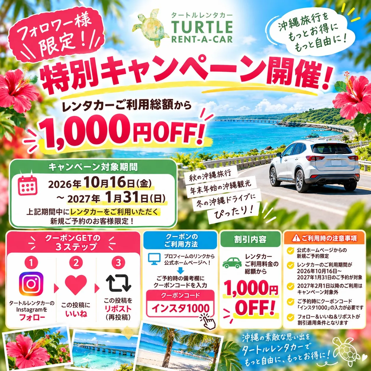 🌺🐢 フォロワー様限定!特別キャンペーン開催! 🐢🌺