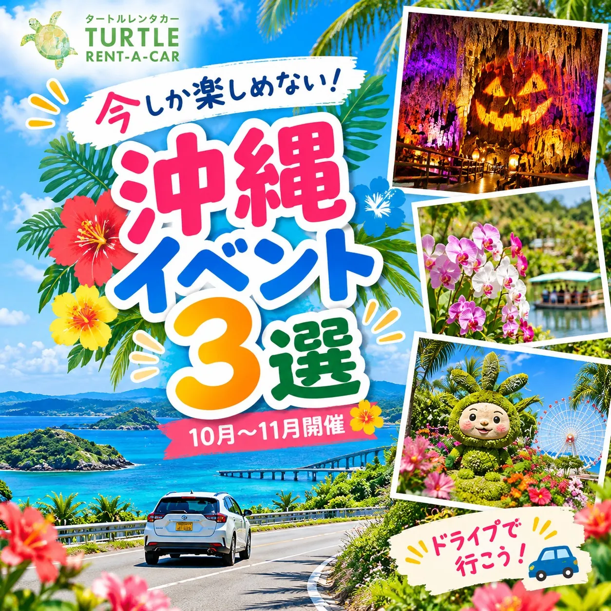 🌴⭐︎タートルレンタカーが教える! 今しか楽しめない!沖縄イ...