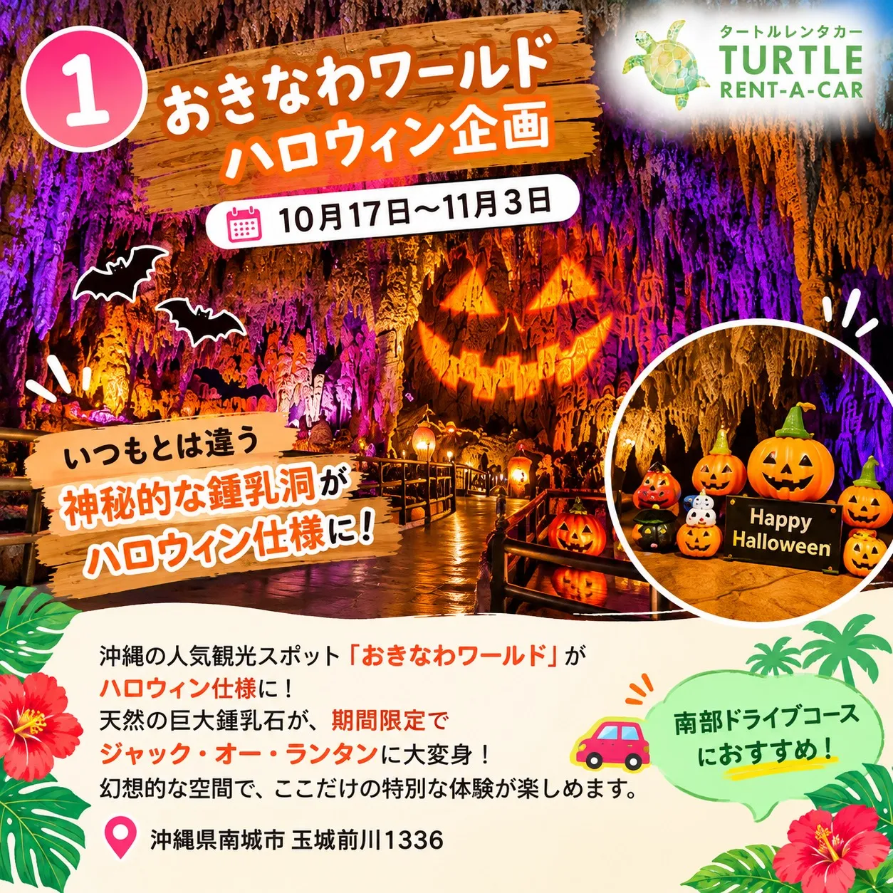 🌴⭐︎タートルレンタカーが教える! 今しか楽しめない!沖縄イ...