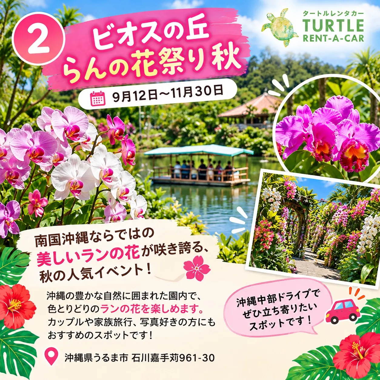 🌴⭐︎タートルレンタカーが教える! 今しか楽しめない!沖縄イ...