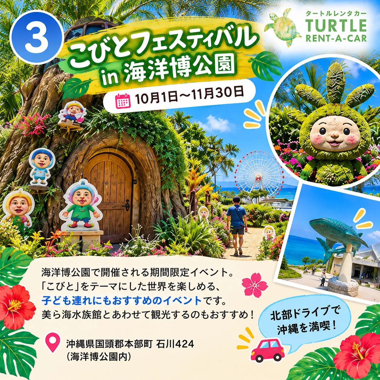 🌴⭐︎タートルレンタカーが教える! 今しか楽しめない!沖縄イ...