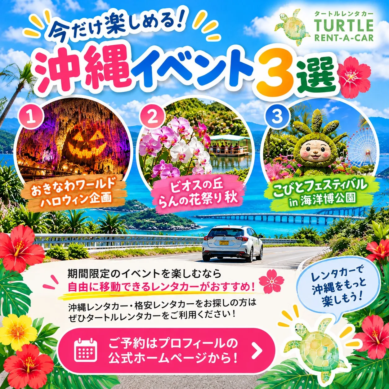 🌴⭐︎タートルレンタカーが教える! 今しか楽しめない!沖縄イ...