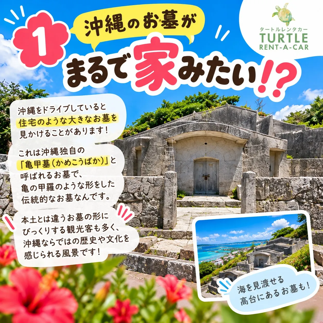 🌴⭐︎タートルレンタカーが教える！　沖縄の人には普通!? 観...