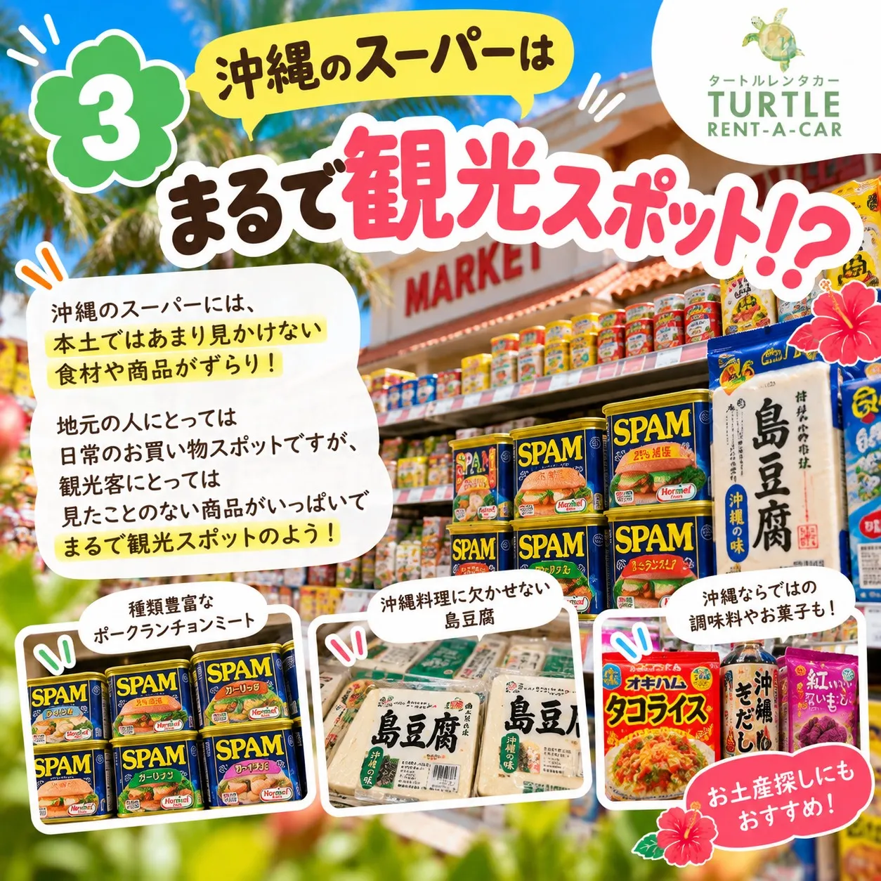🌴⭐︎タートルレンタカーが教える！　沖縄の人には普通!? 観...