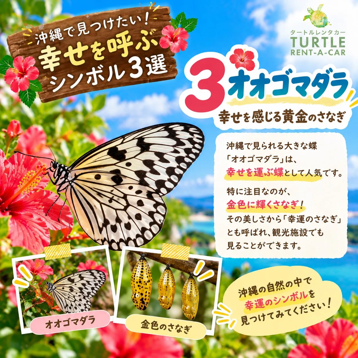 🌴⭐︎タートルレンタカーが教える！　沖縄旅行で見つけたい！幸...