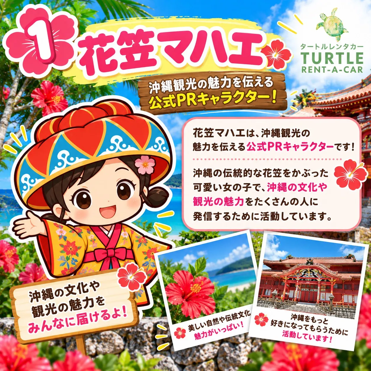 🌴⭐︎タートルレンタカーが教える！　沖縄にもこんな可愛いキャ...