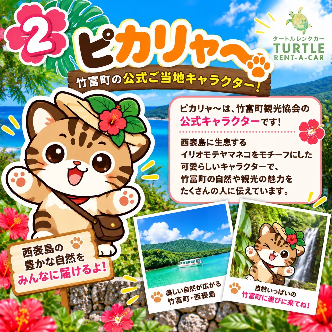 🌴⭐︎タートルレンタカーが教える！　沖縄にもこんな可愛いキャ...