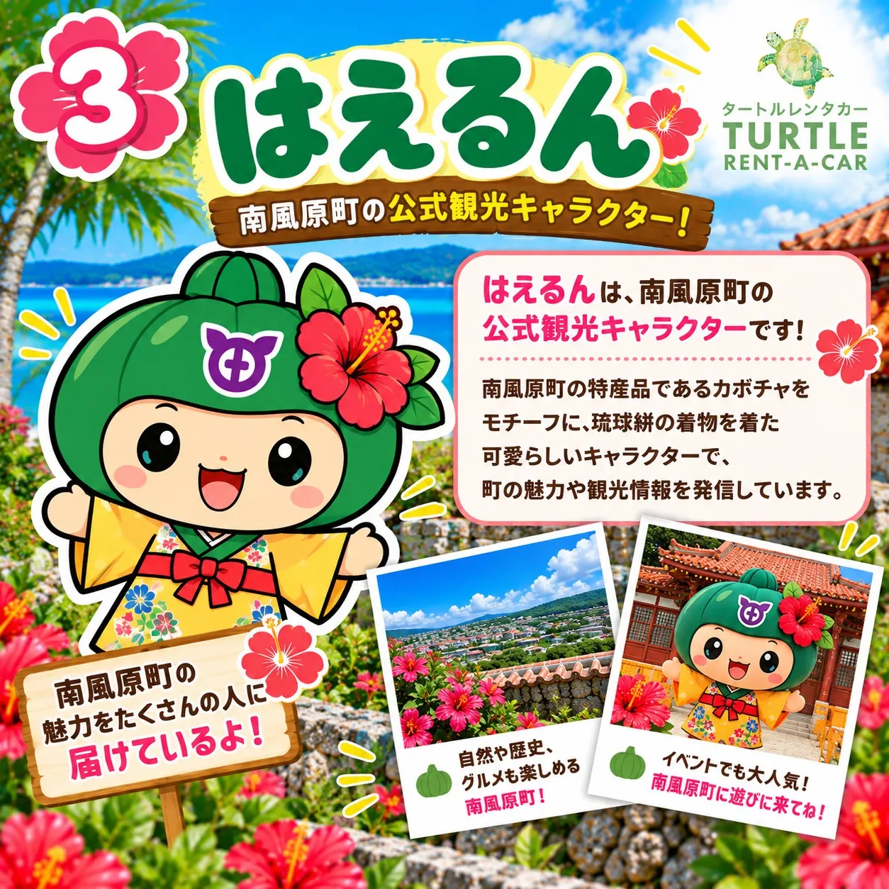 🌴⭐︎タートルレンタカーが教える！　沖縄にもこんな可愛いキャ...