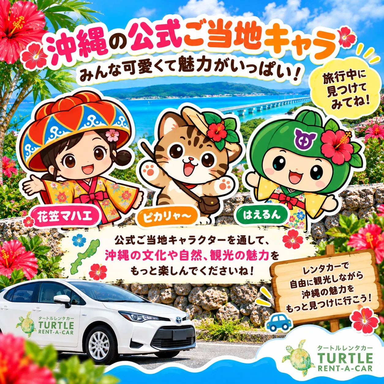 🌴⭐︎タートルレンタカーが教える！　沖縄にもこんな可愛いキャ...