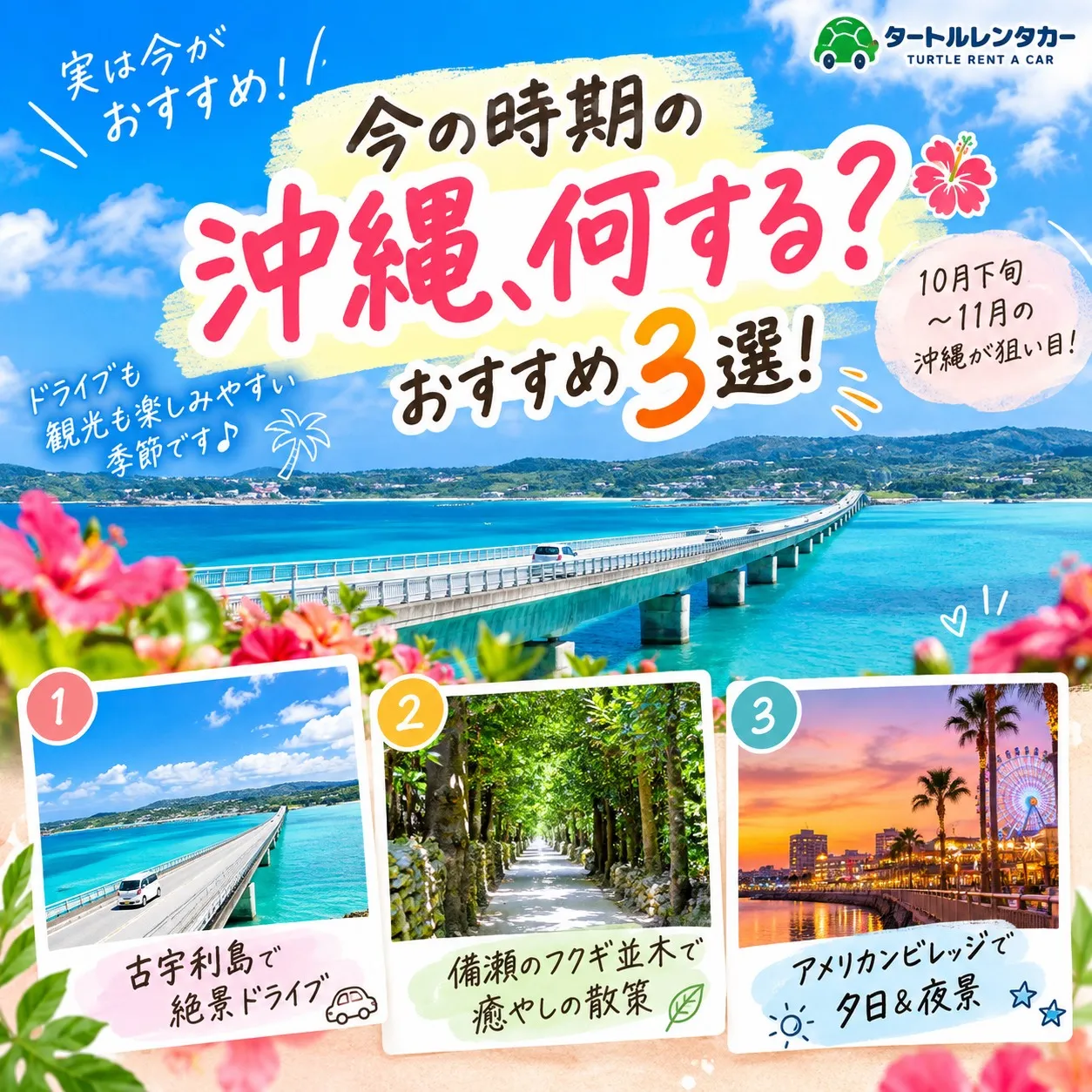 🌴⭐︎タートルレンタカーが教える！　今の時期の沖縄、何する？...