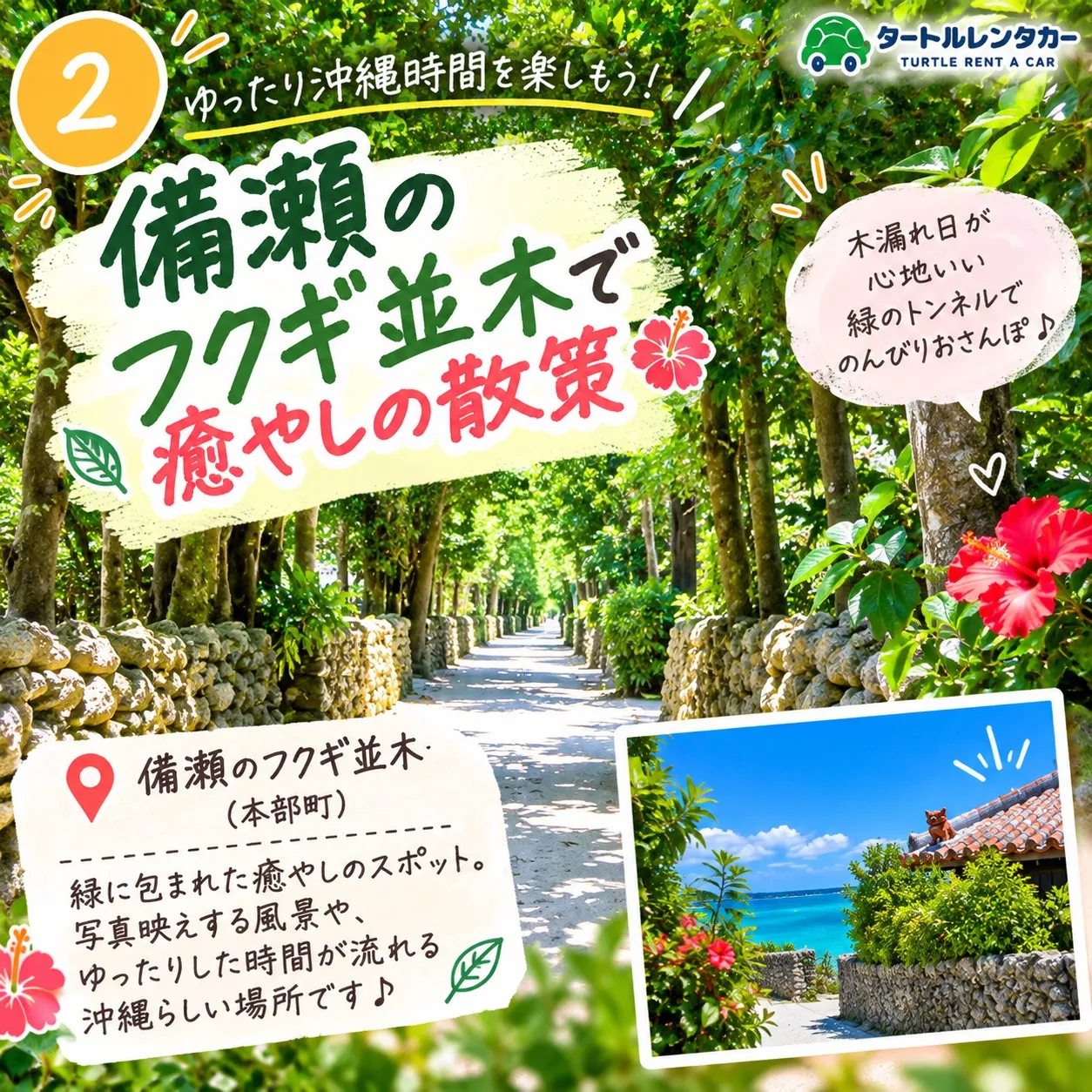 🌴⭐︎タートルレンタカーが教える！　今の時期の沖縄、何する？...