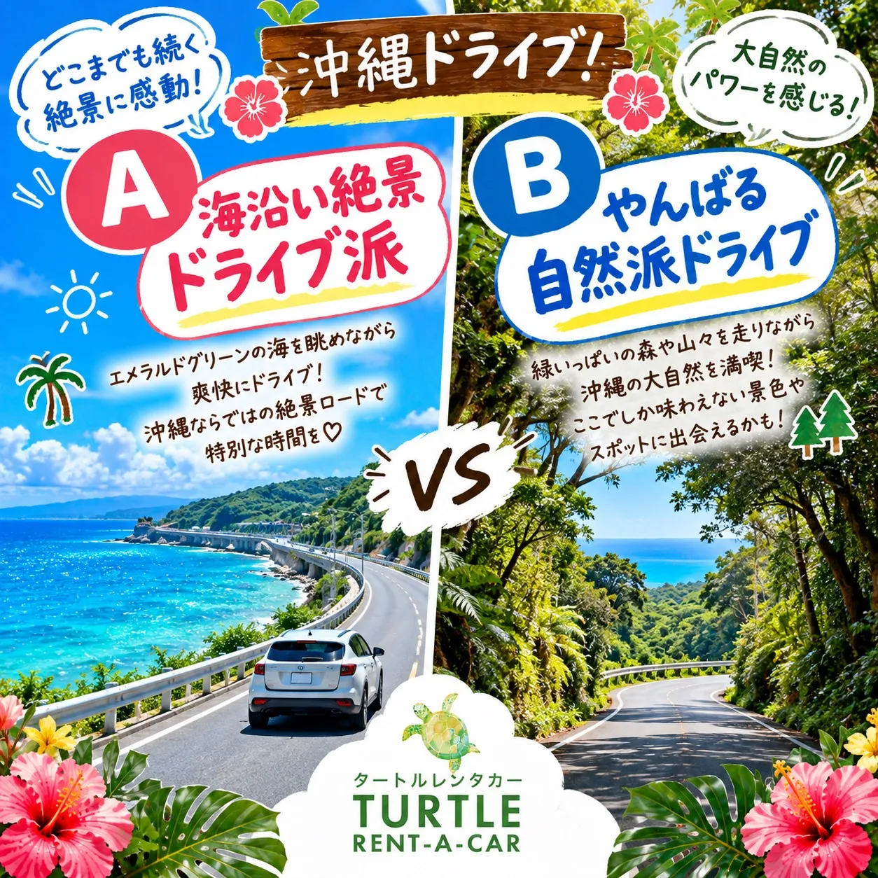 🌺🐢 沖縄旅行!あなたはどっち派?3選! 🐢🌺