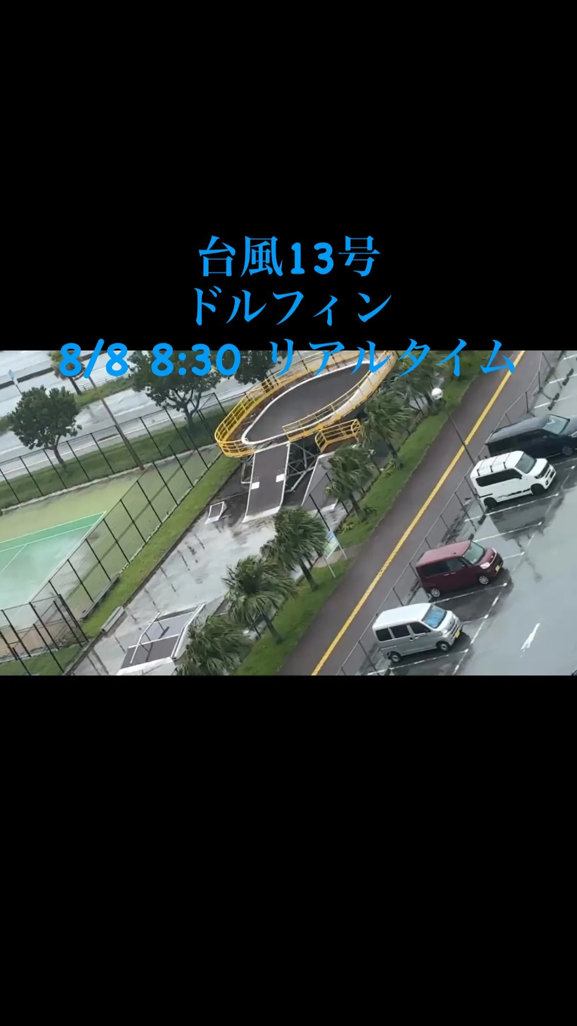 台風13号 ドルフィン